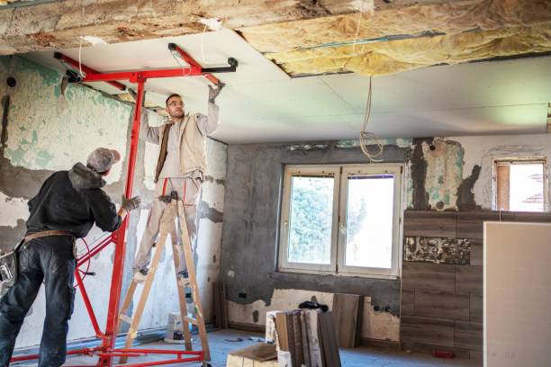 Eco-Friendly or Green Insulation Solutions in Gainesville, TX